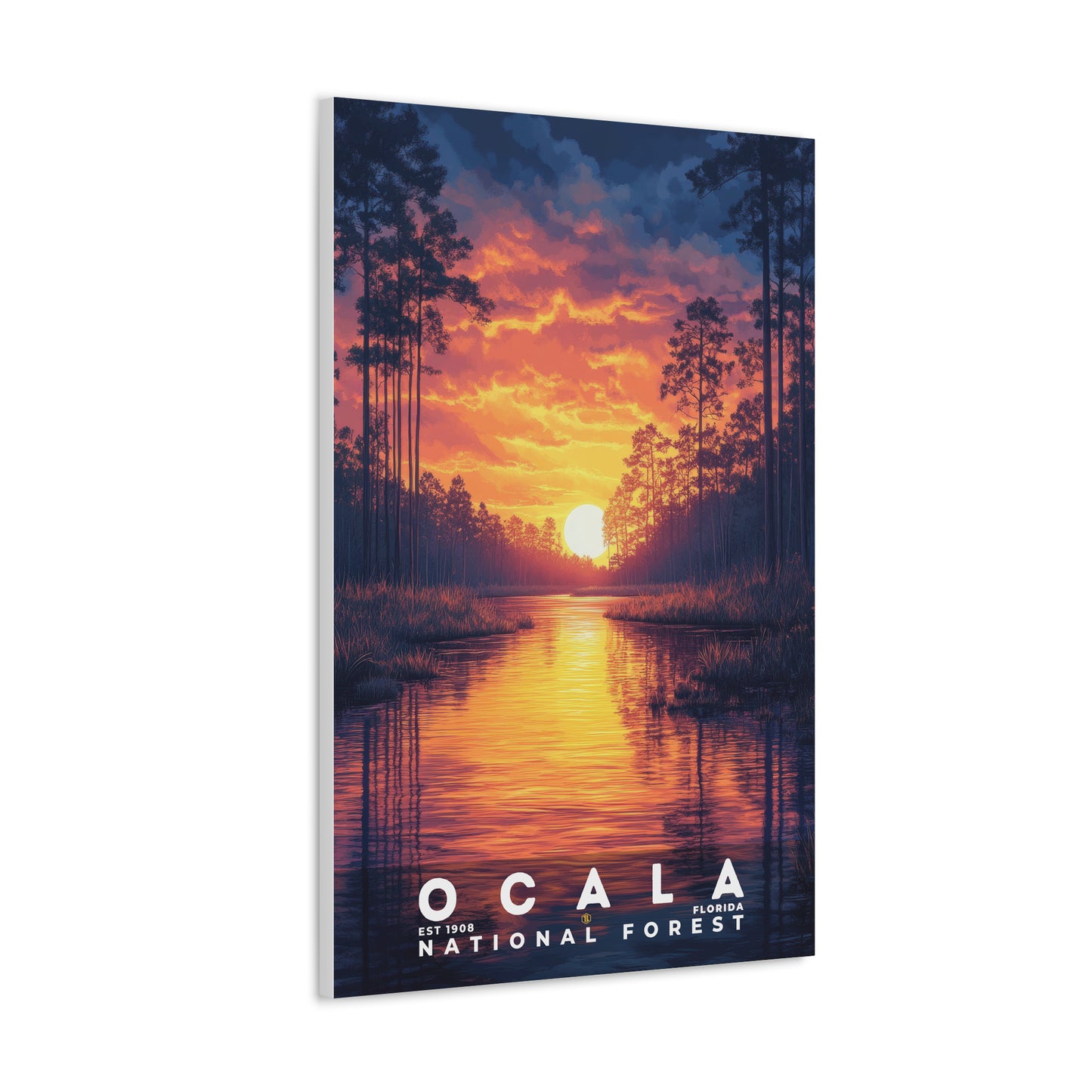 Ocala National Forest Poster | S02