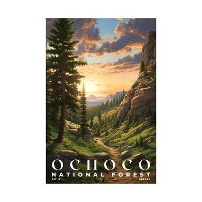 Ochoco National Forest Poster | S01