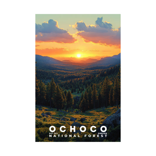 Ochoco National Forest Poster | S02