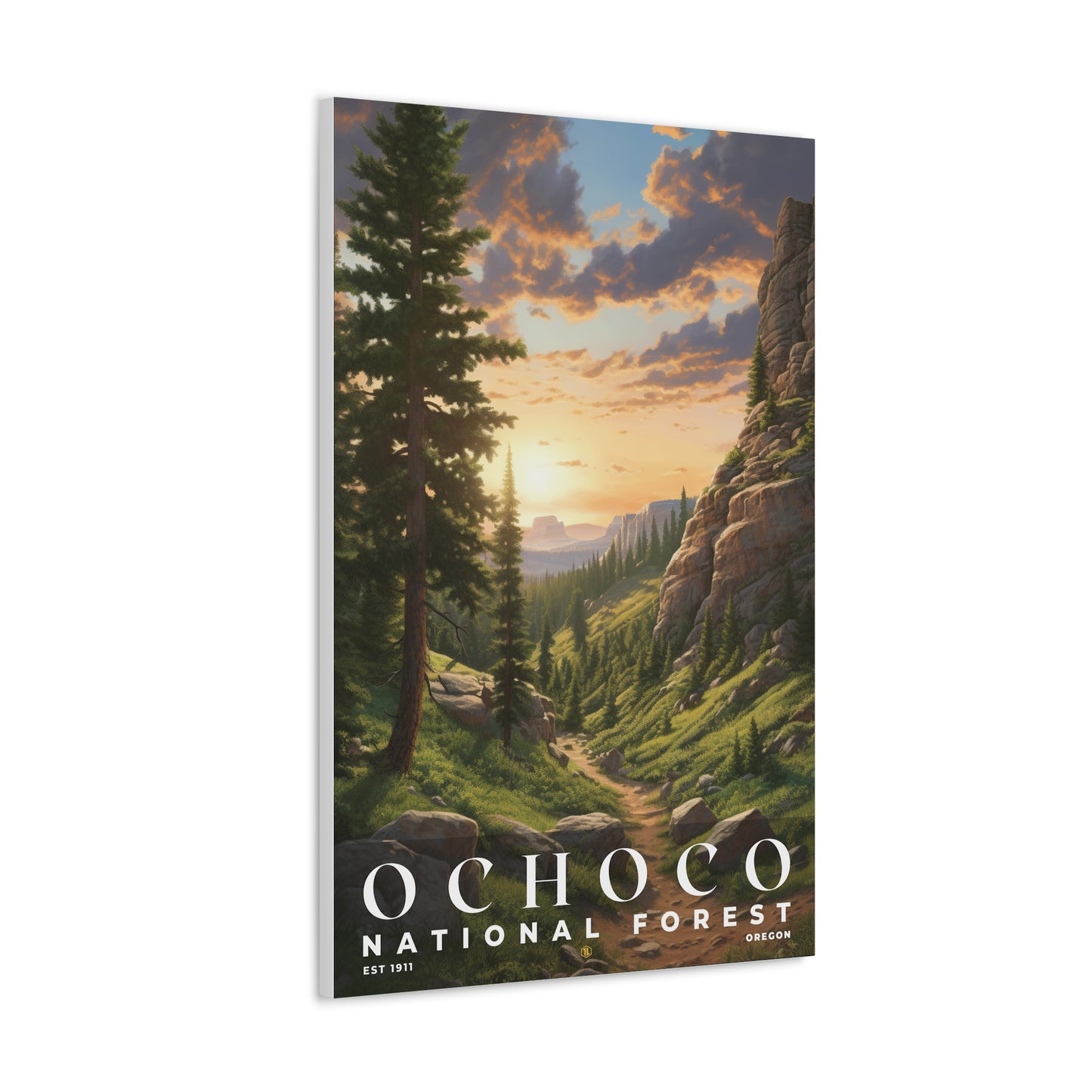 Ochoco National Forest Poster | S01