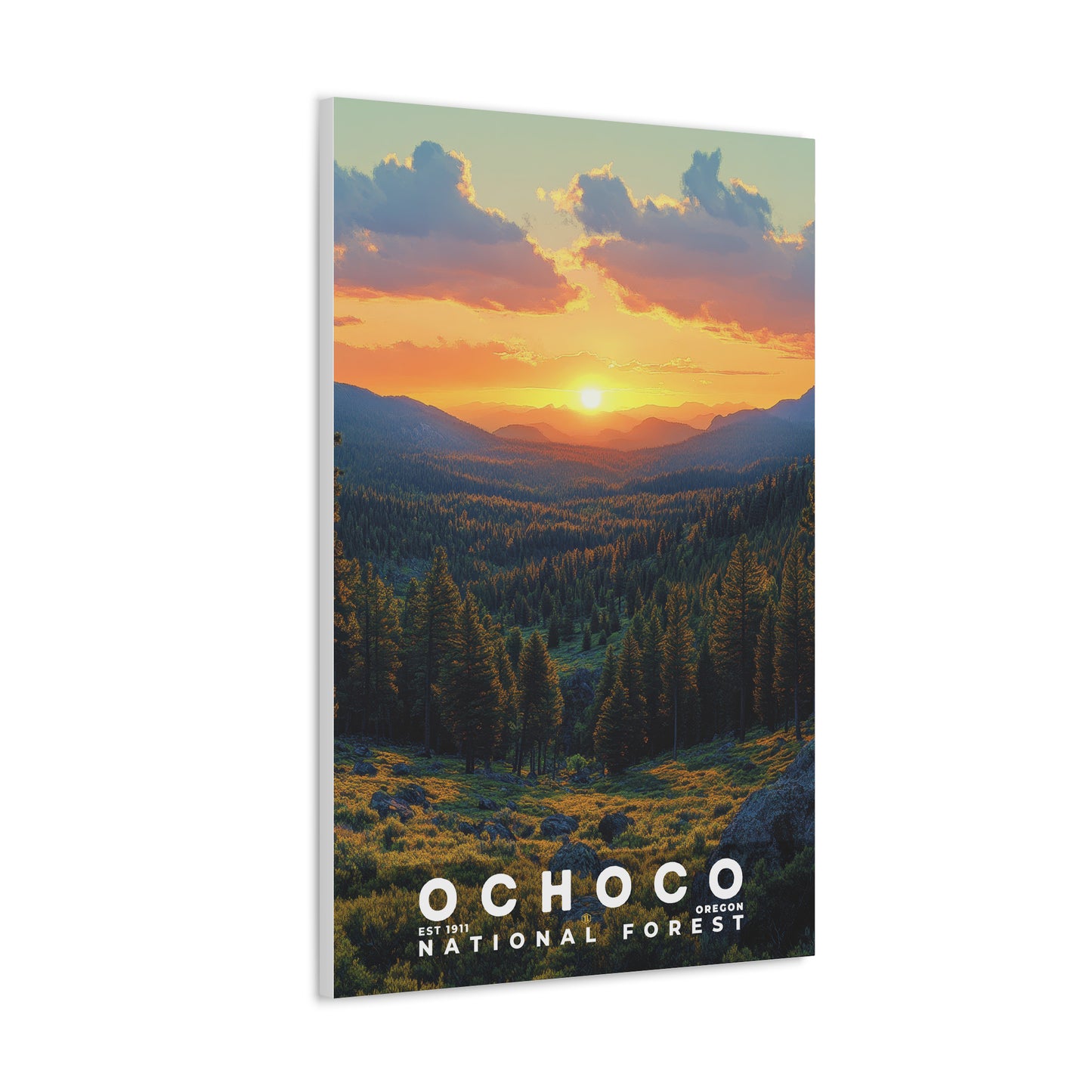 Ochoco National Forest Poster | S02
