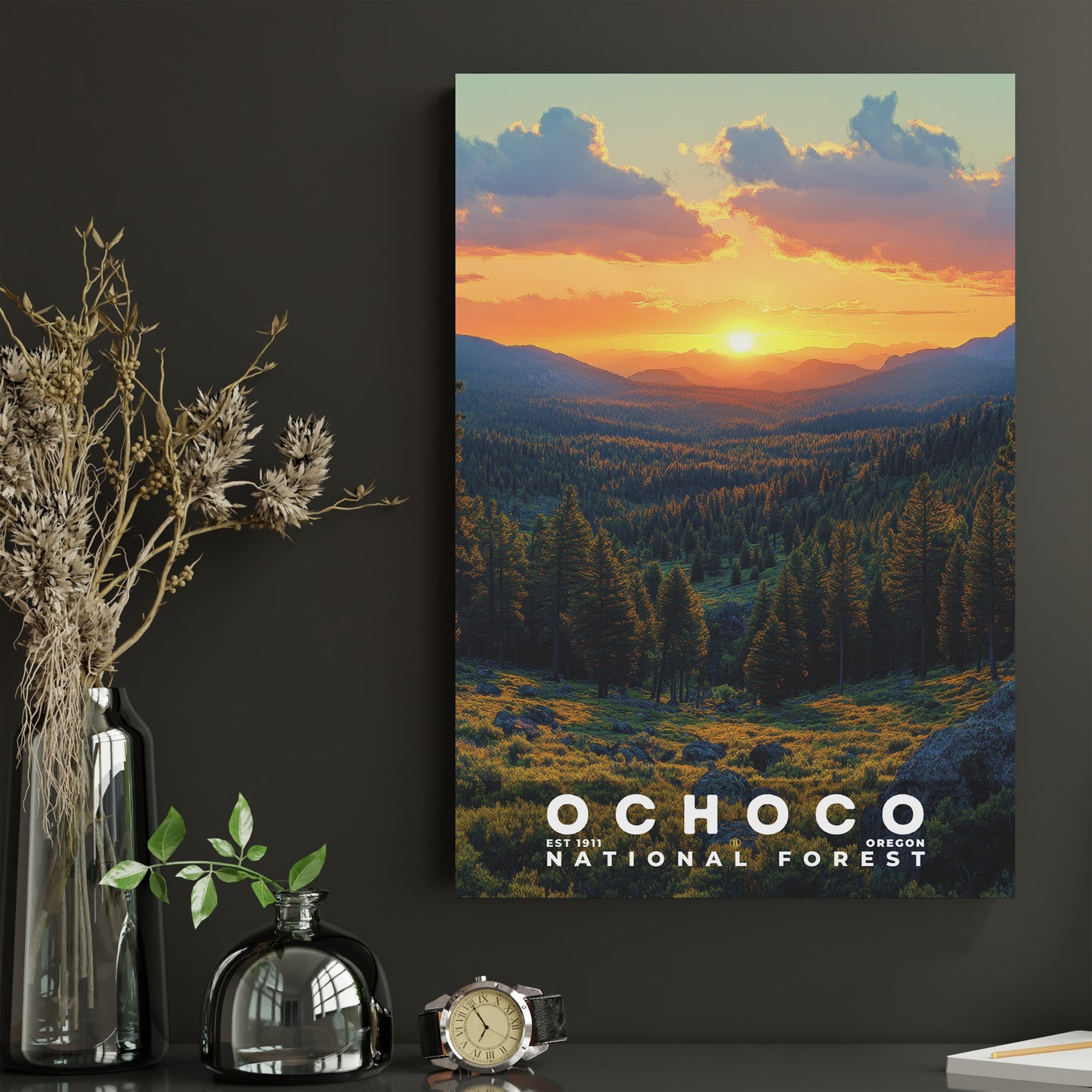 Ochoco National Forest Poster | S02