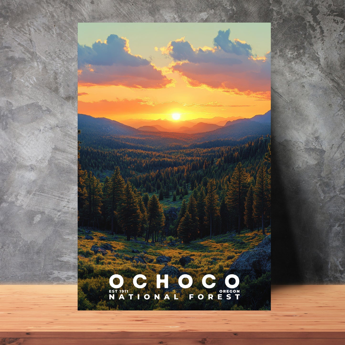 Ochoco National Forest Poster | S02