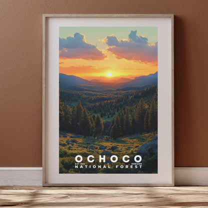 Ochoco National Forest Poster | S02