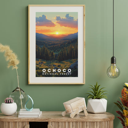 Ochoco National Forest Poster | S02