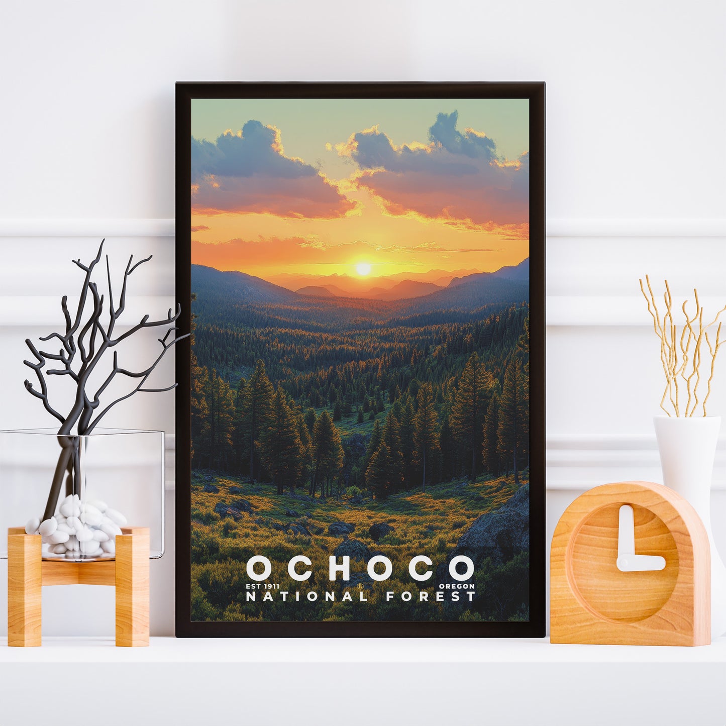 Ochoco National Forest Poster | S02