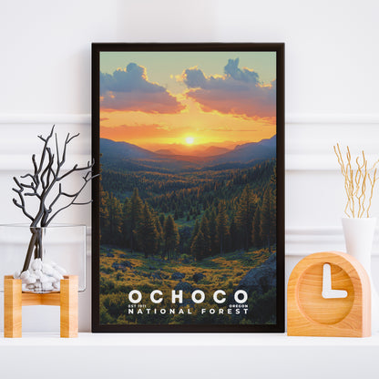 Ochoco National Forest Poster | S02
