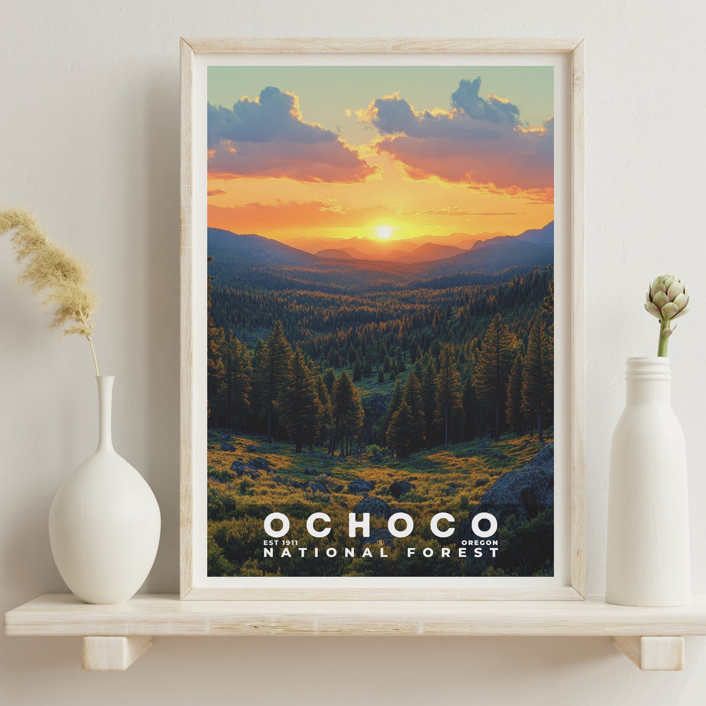 Ochoco National Forest Poster | S02