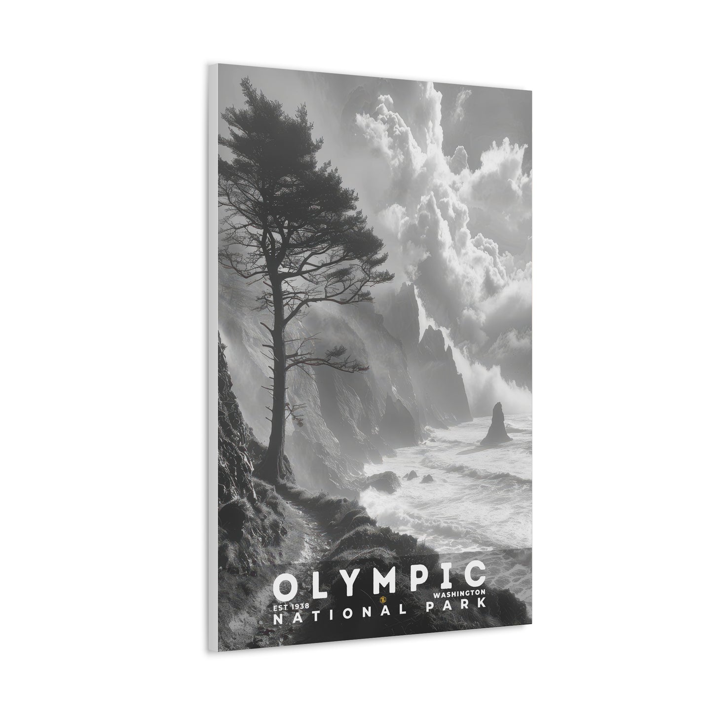 Olympic National Park Poster | S15