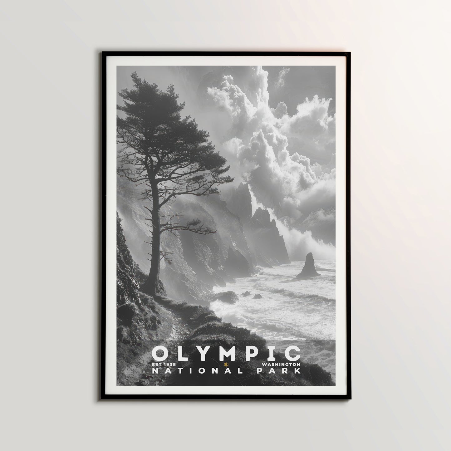 Olympic National Park Poster | S15