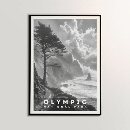 Olympic National Park Poster | S15