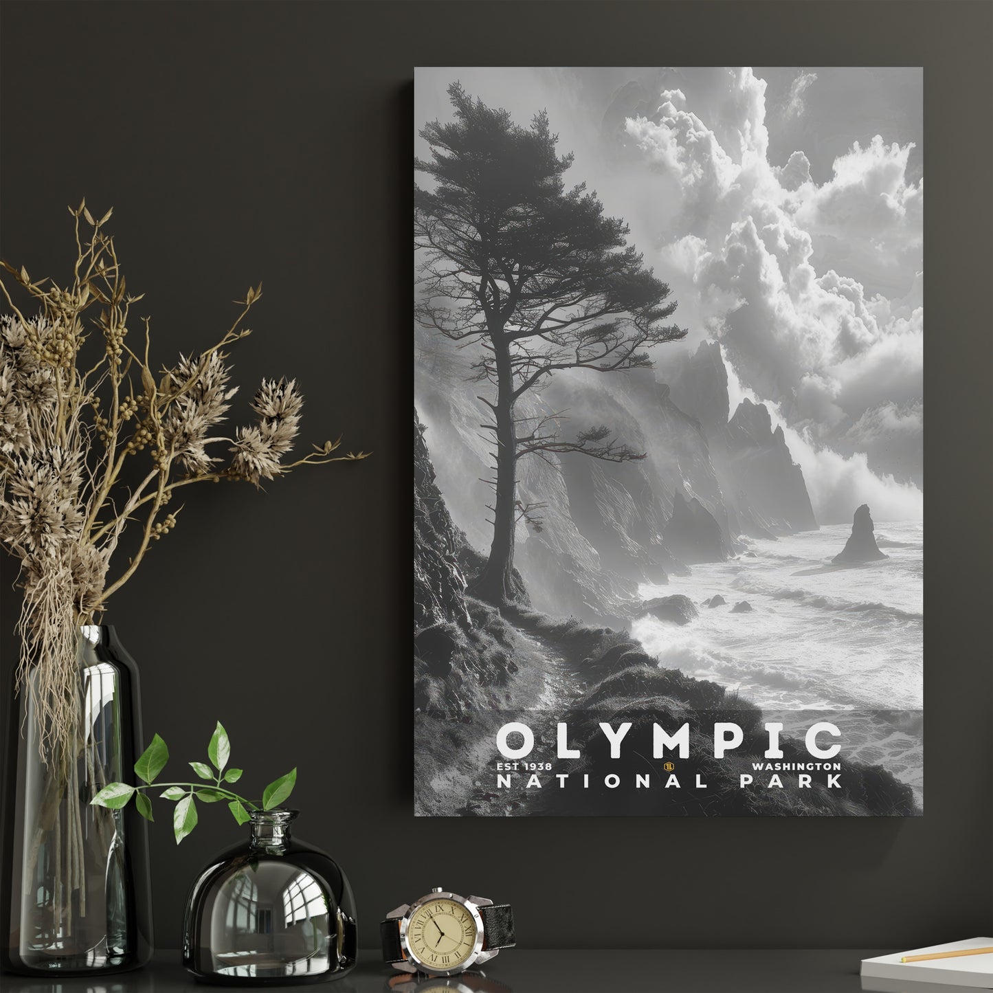 Olympic National Park Poster | S15