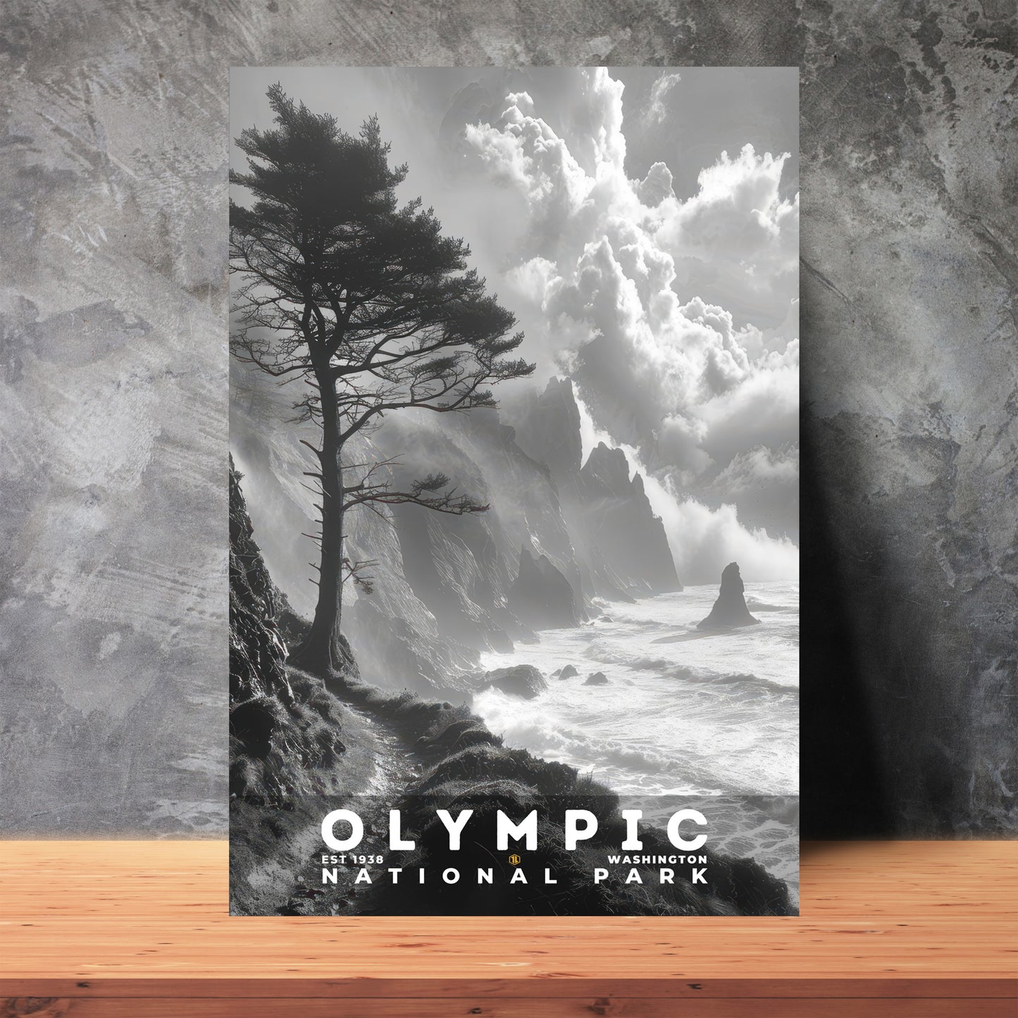 Olympic National Park Poster | S15