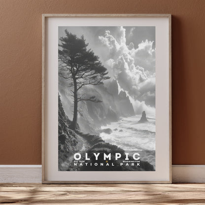 Olympic National Park Poster | S15