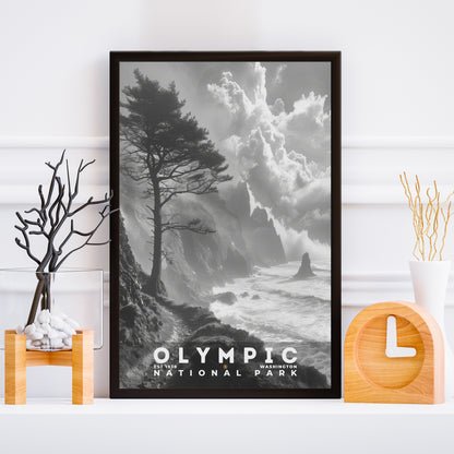 Olympic National Park Poster | S15