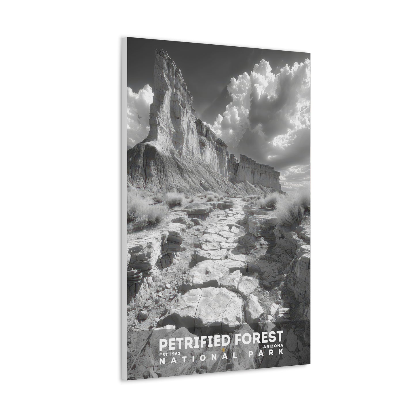 Petrified Forest National Park Poster | S15