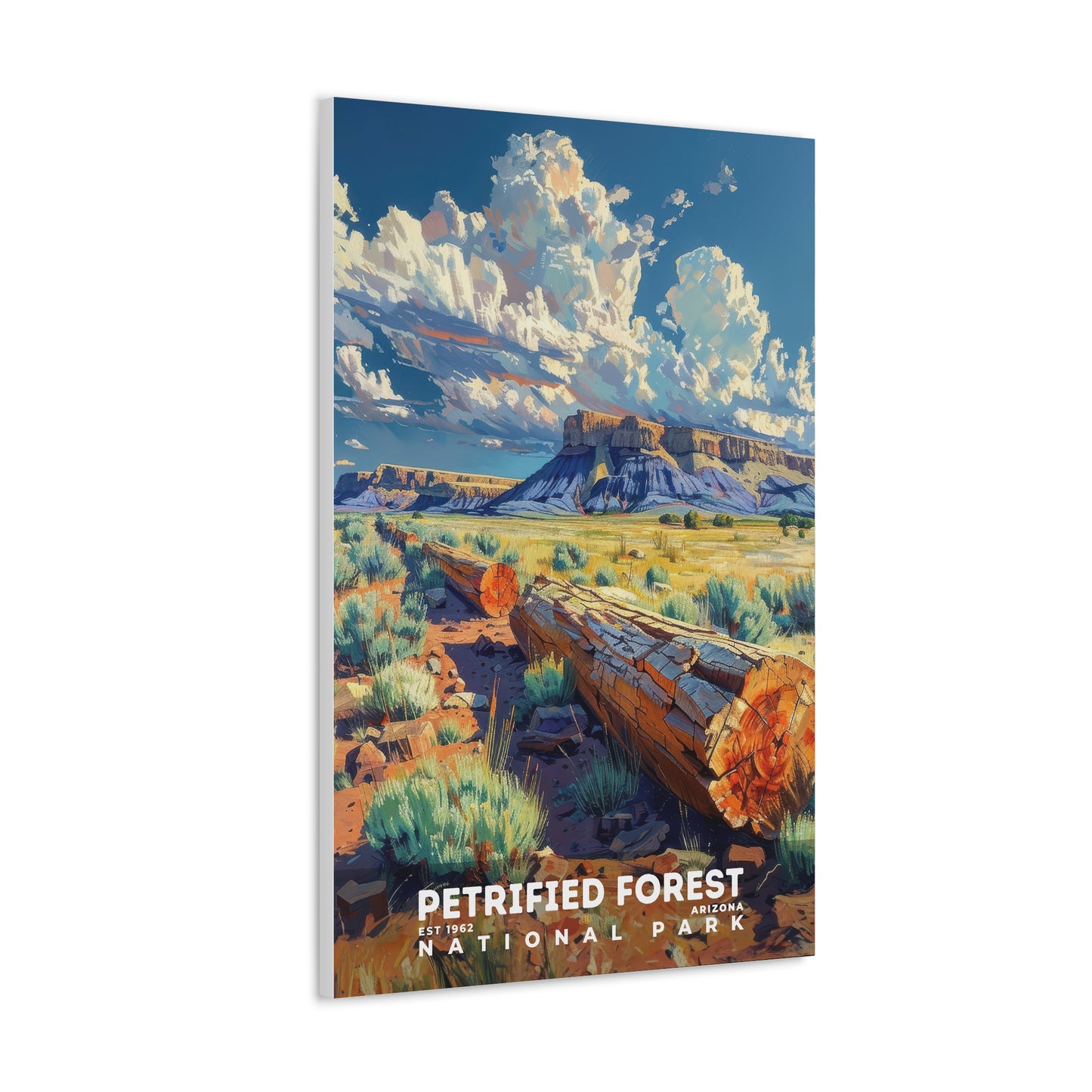 Petrified Forest National Park Poster | S13