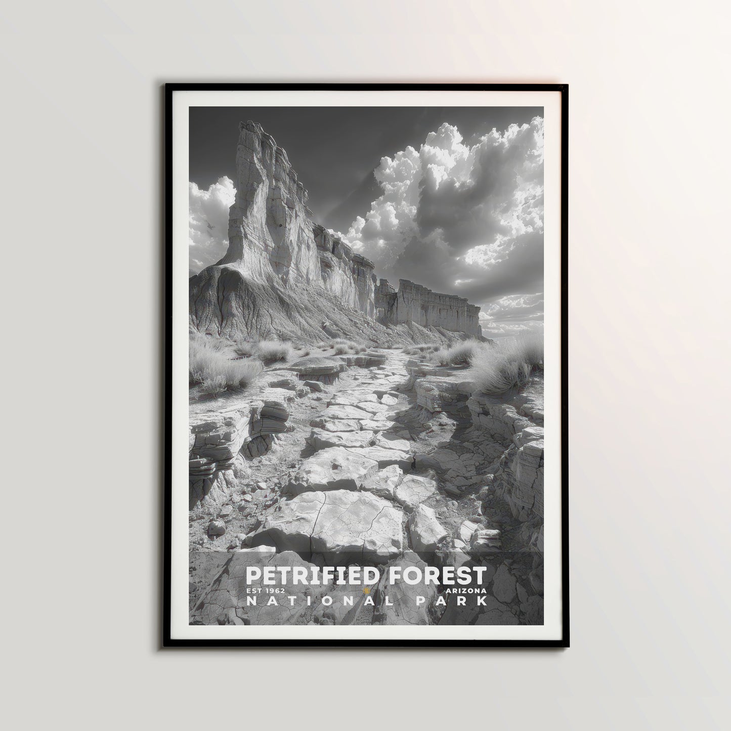 Petrified Forest National Park Poster | S15