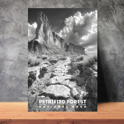 Petrified Forest National Park Poster | S15