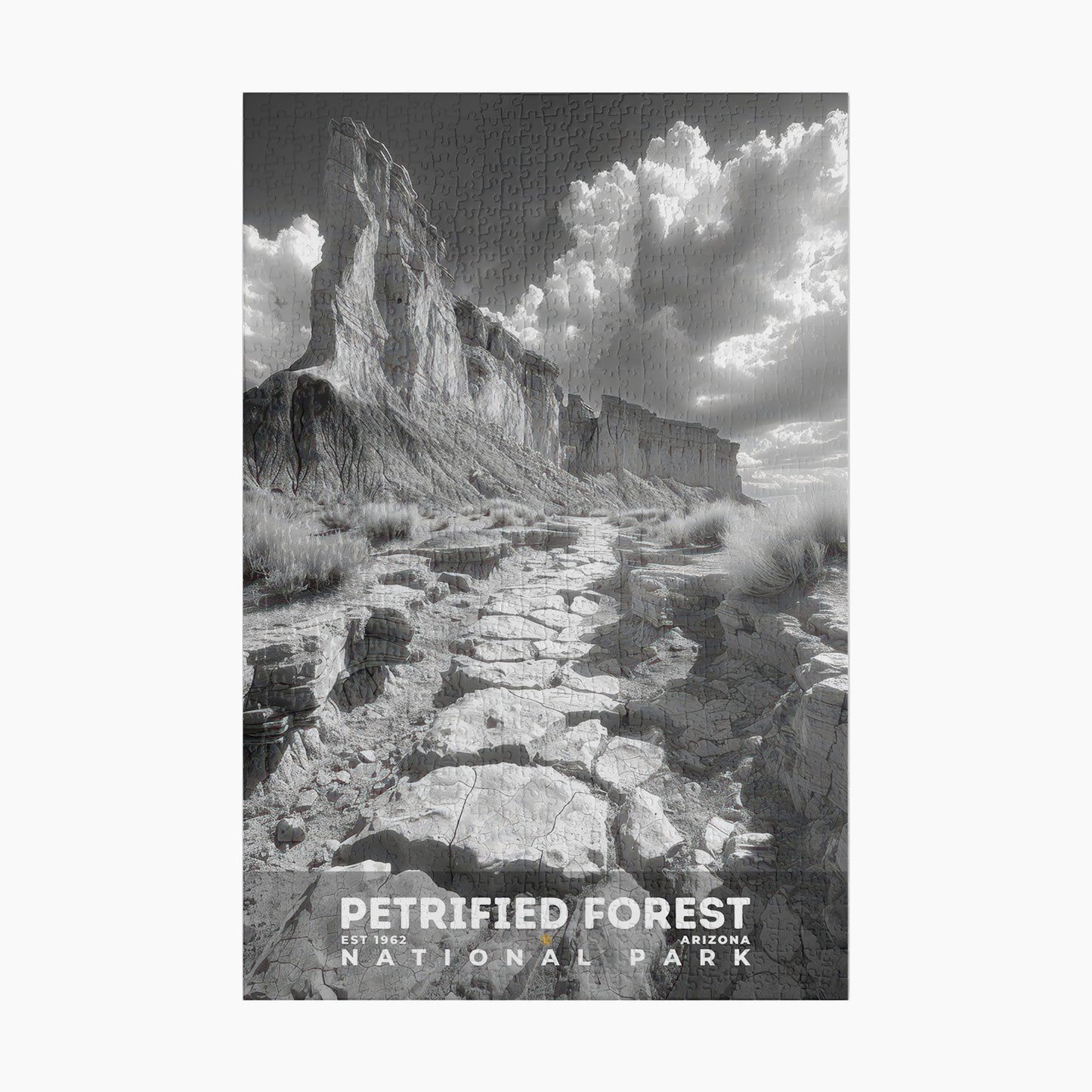 Petrified Forest National Park Puzzle | S15