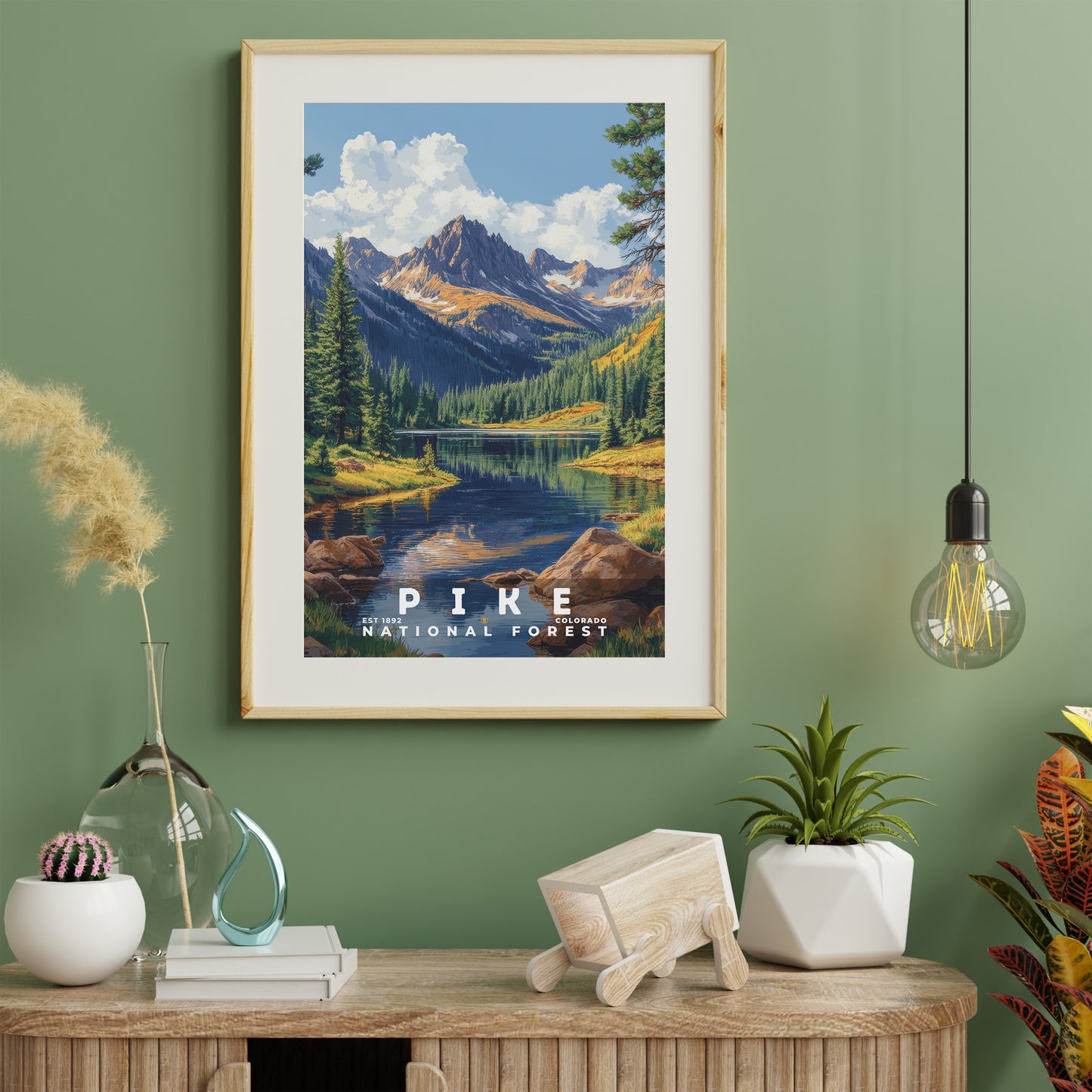 Pike National Forest Poster | S02