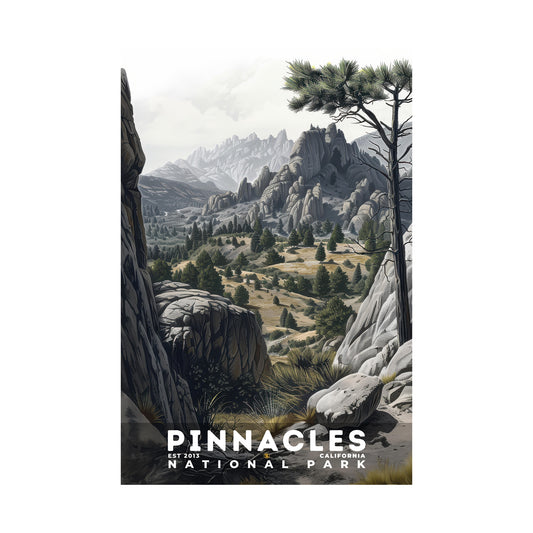 Pinnacles National Park Poster | S17