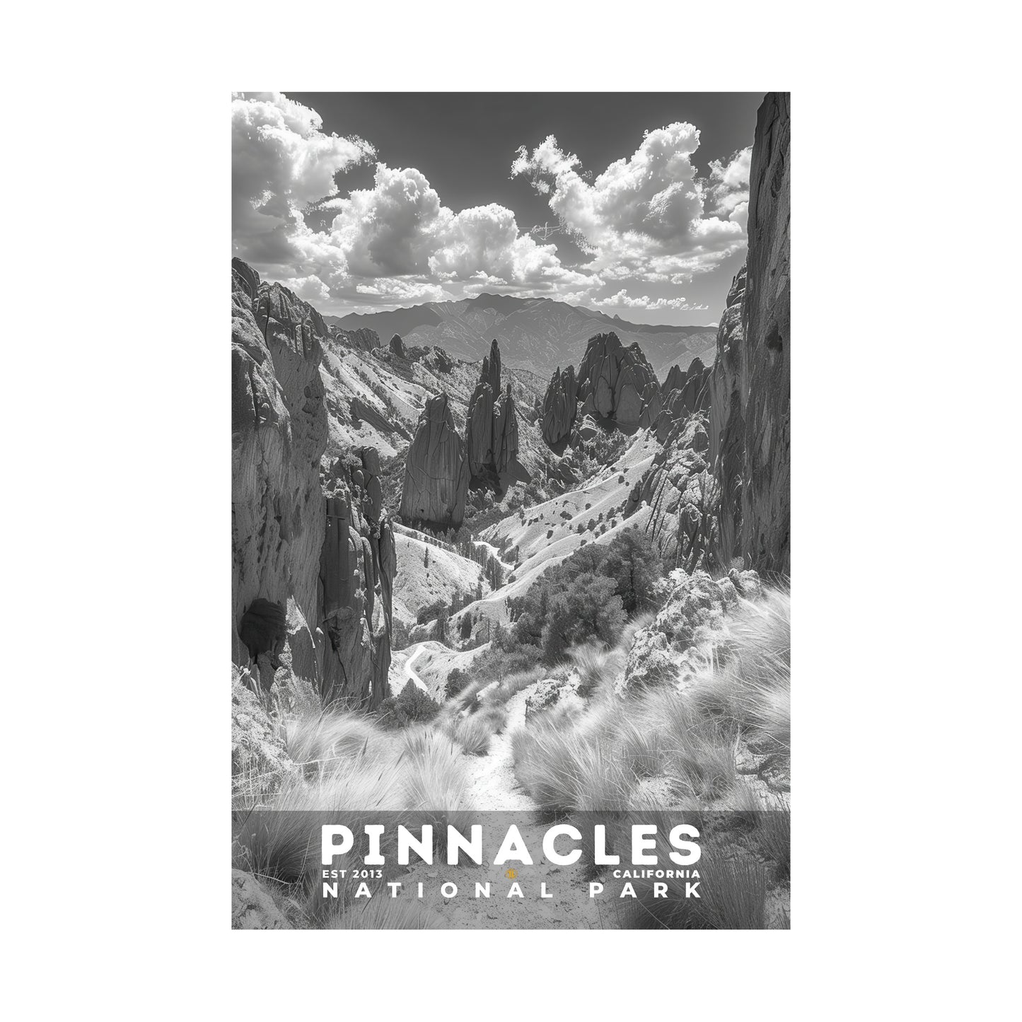 Pinnacles National Park Poster | S15