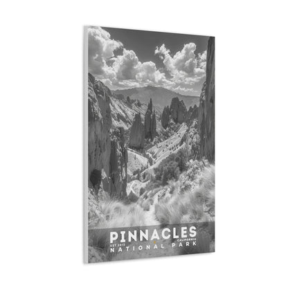 Pinnacles National Park Poster | S15