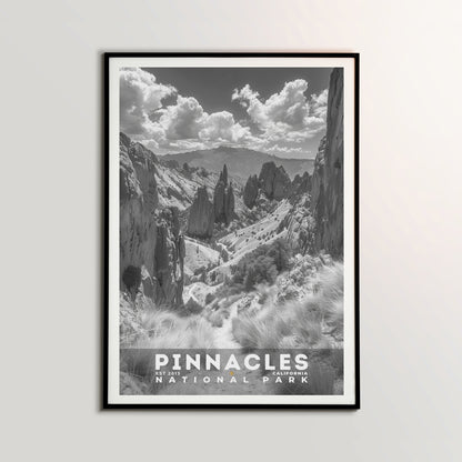 Pinnacles National Park Poster | S15