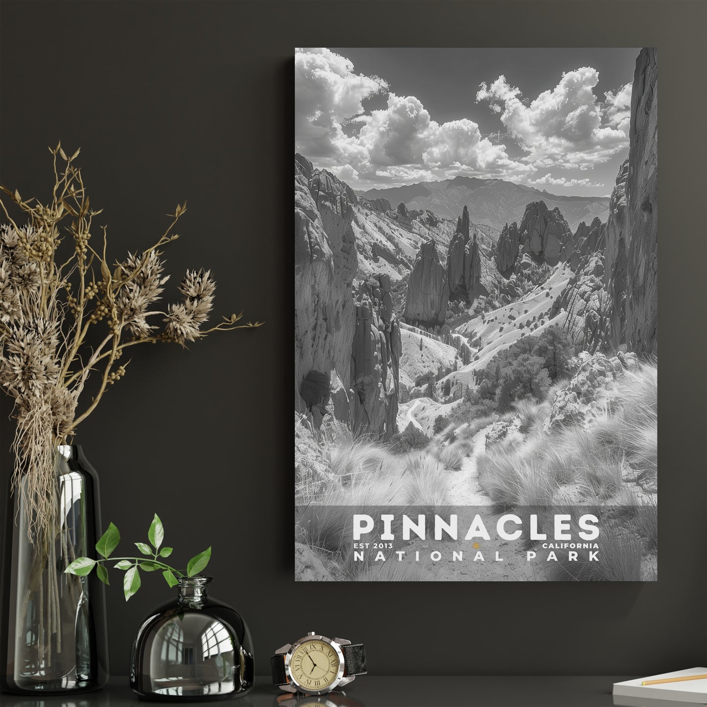 Pinnacles National Park Poster | S15