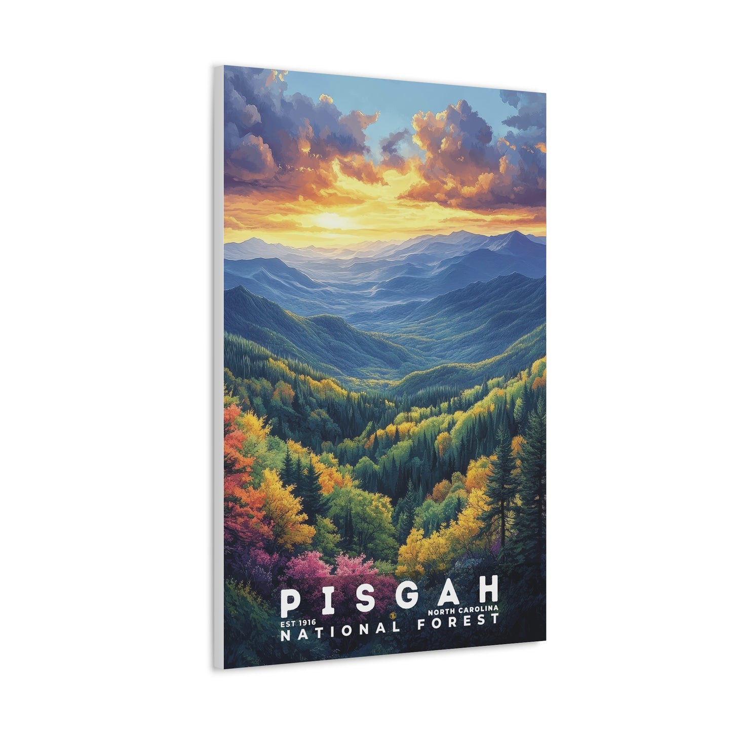 Pisgah National Forest Poster | S02