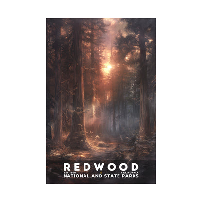 Redwood National and State Parks Poster | S12