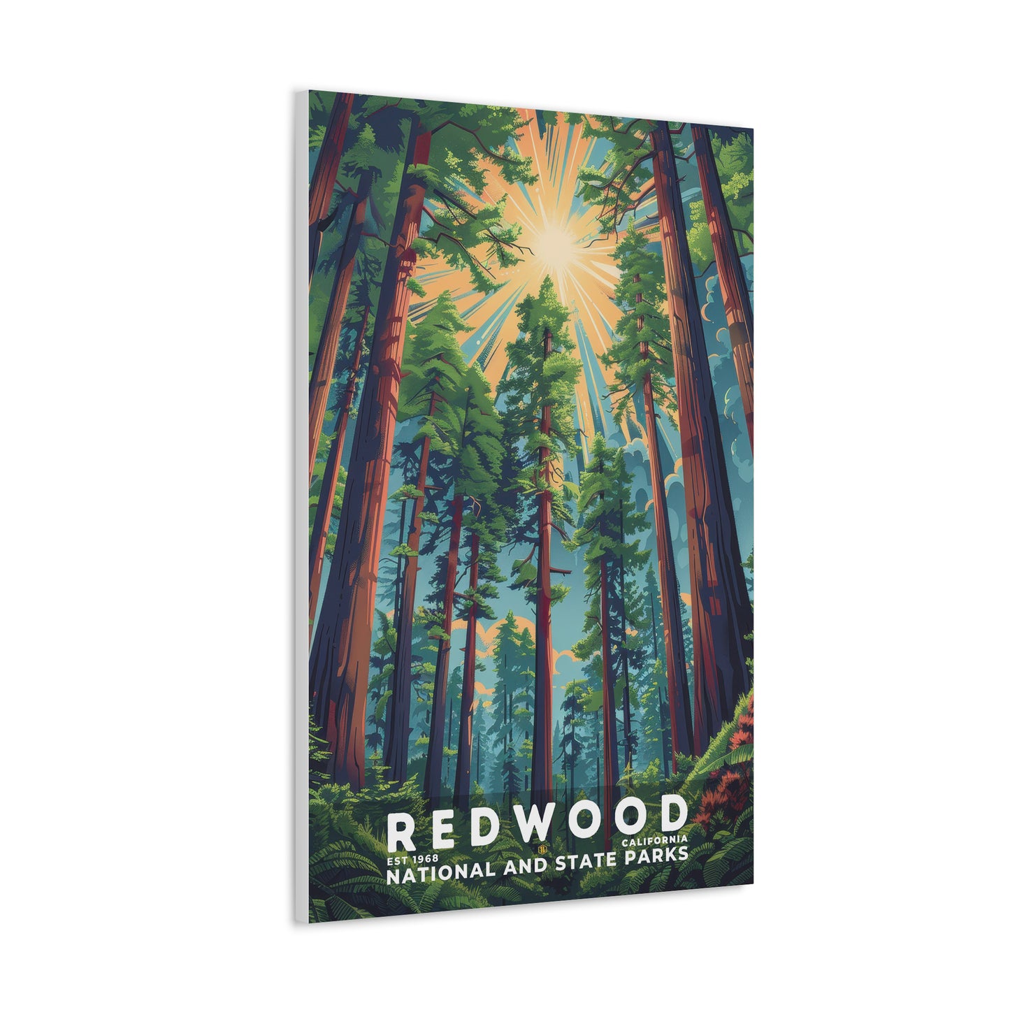 Redwood National and State Parks Poster | S11