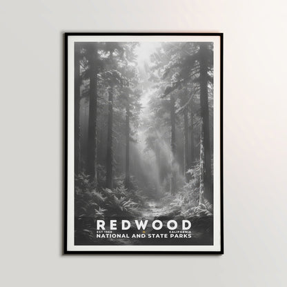 Redwood National and State Parks Poster | S15