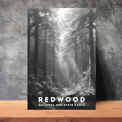 Redwood National and State Parks Poster | S15