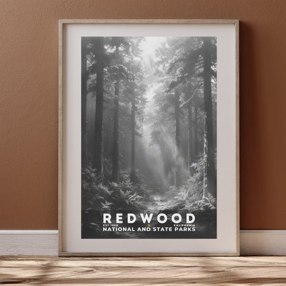 Redwood National and State Parks Poster | S15