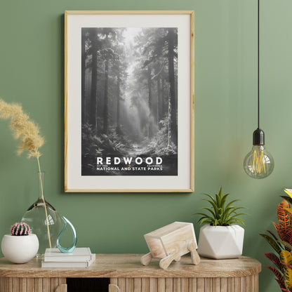 Redwood National and State Parks Poster | S15