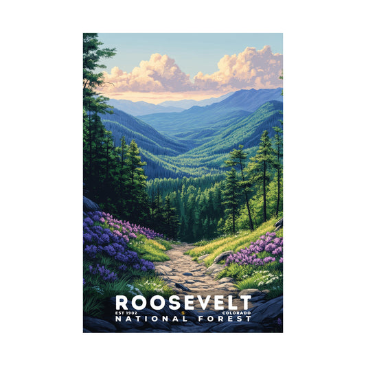 Roosevelt National Forest Poster | S02
