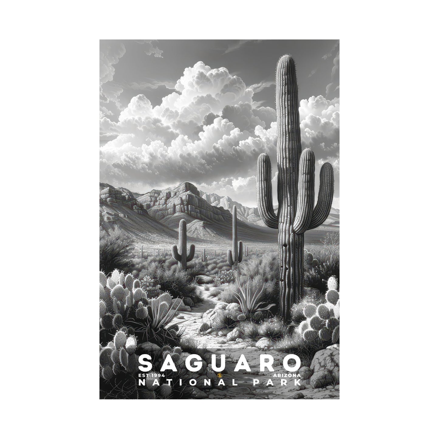 Saguaro National Park Poster | S15