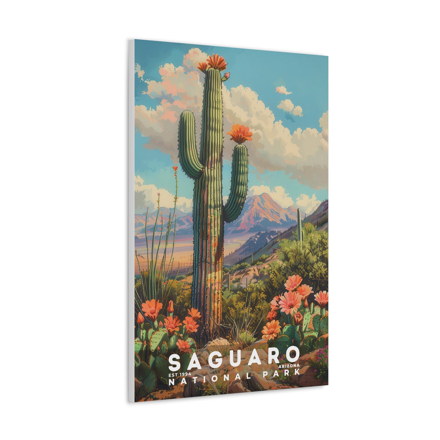 Saguaro National Park Poster | S18