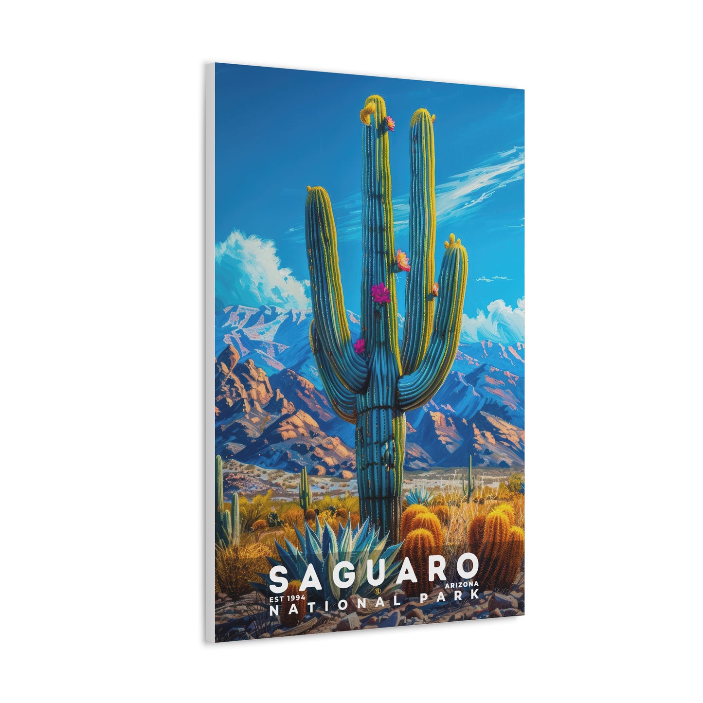 Saguaro National Park Poster | S16