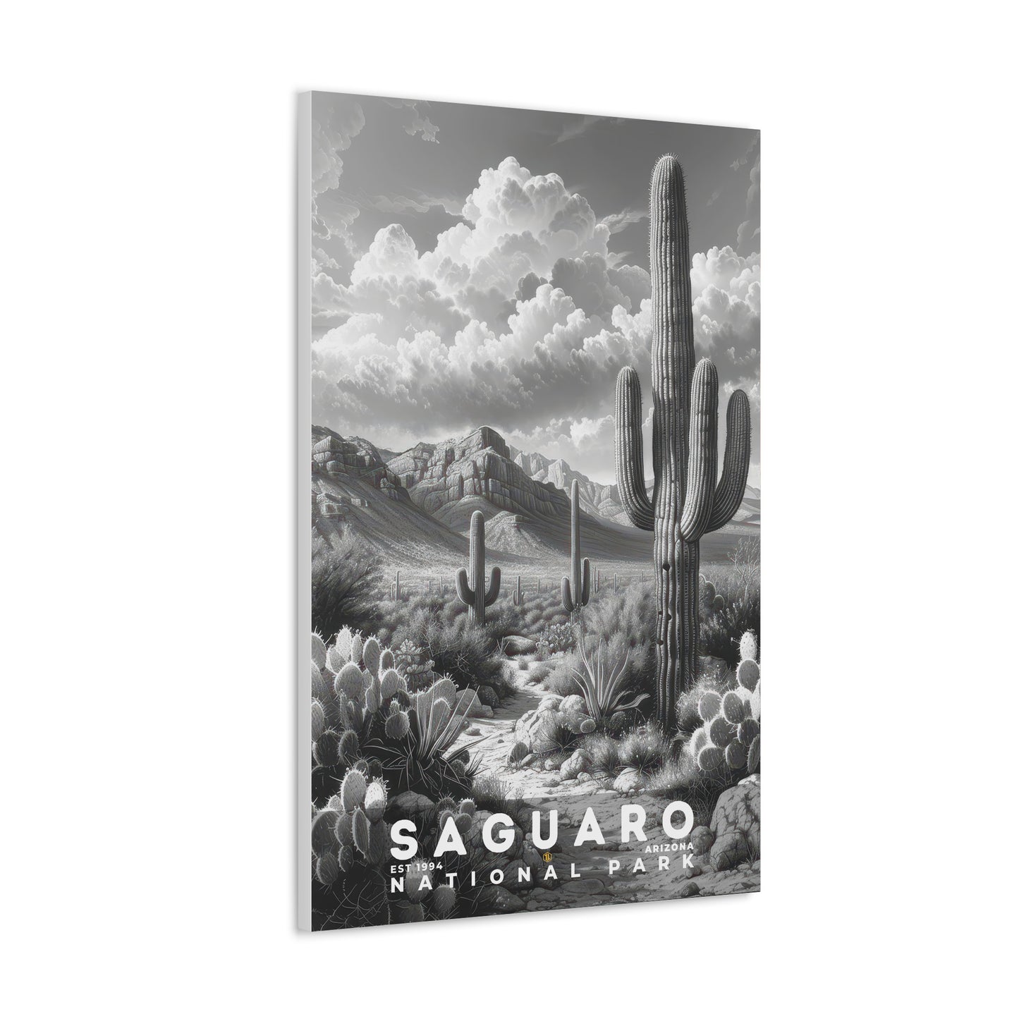 Saguaro National Park Poster | S15