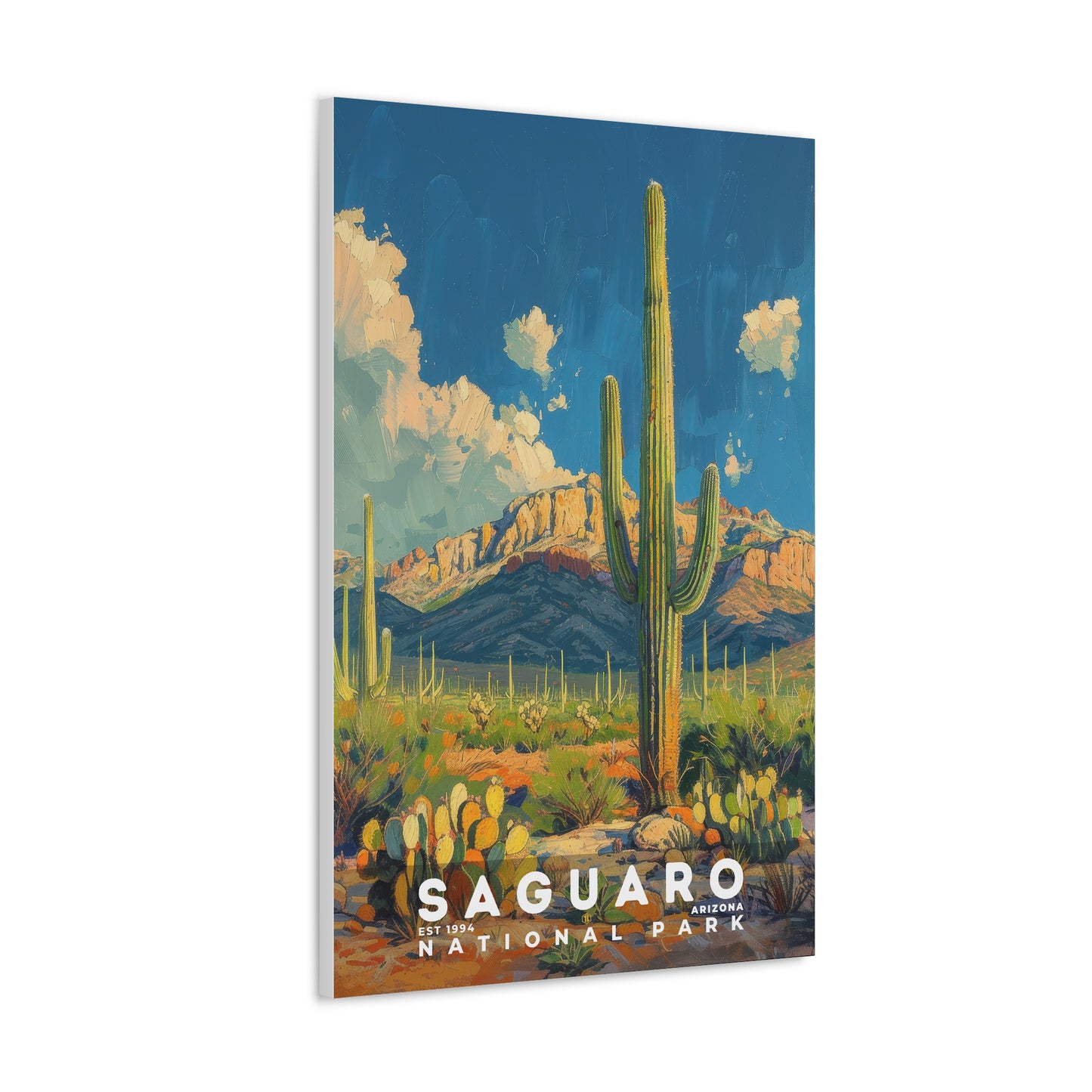 Saguaro National Park Poster | S14