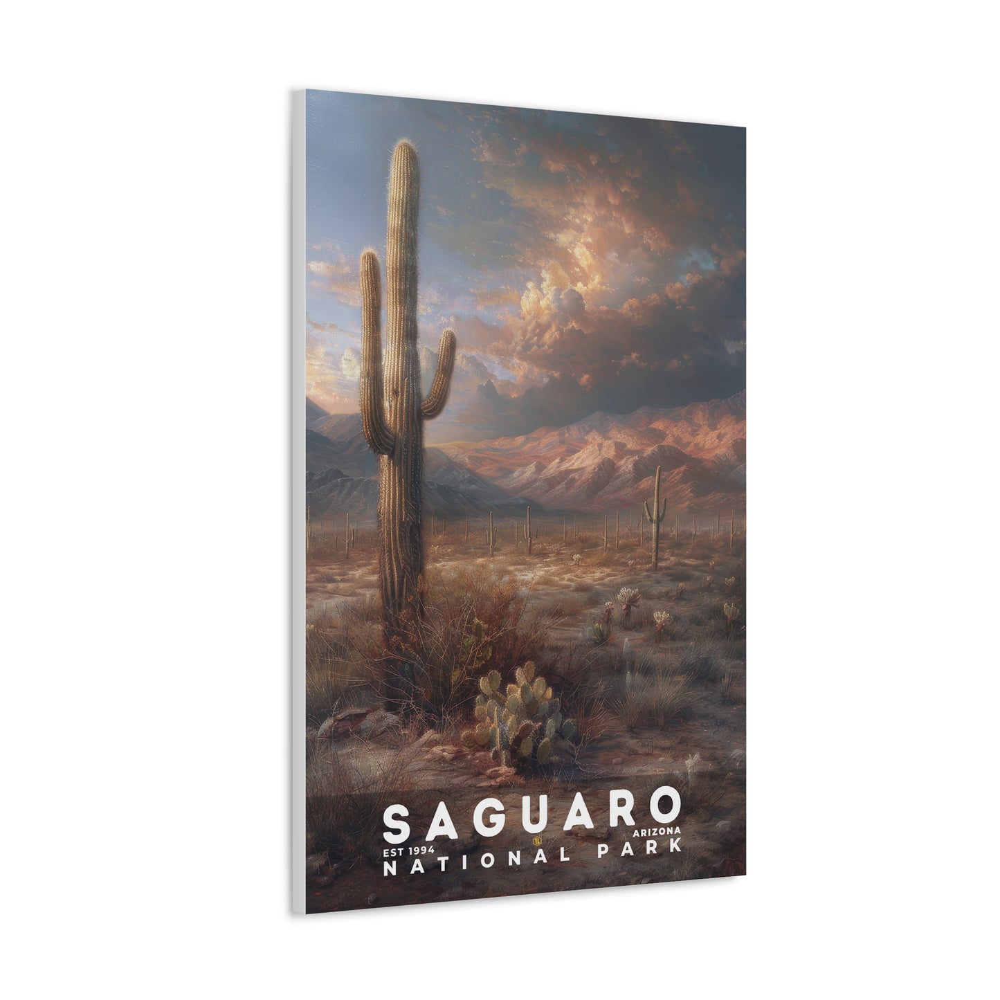 Saguaro National Park Poster | S12