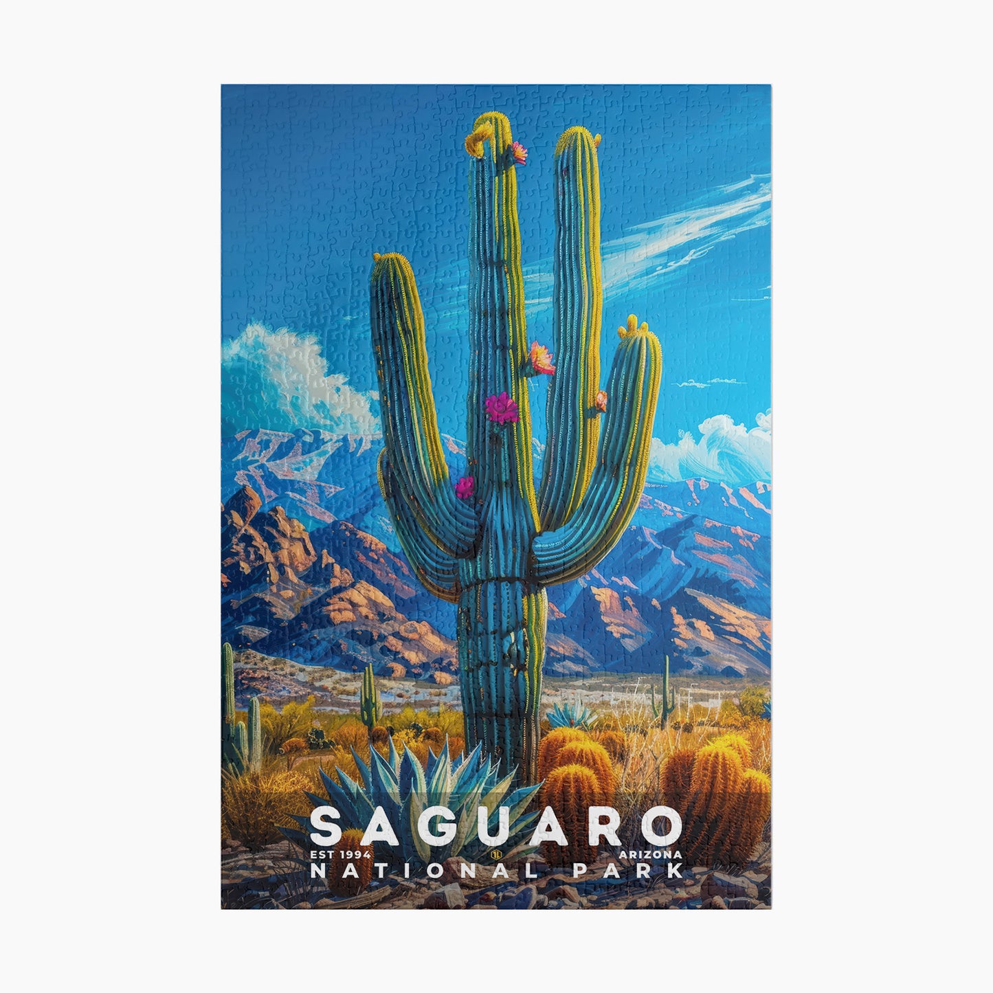Saguaro National Park Puzzle | S16