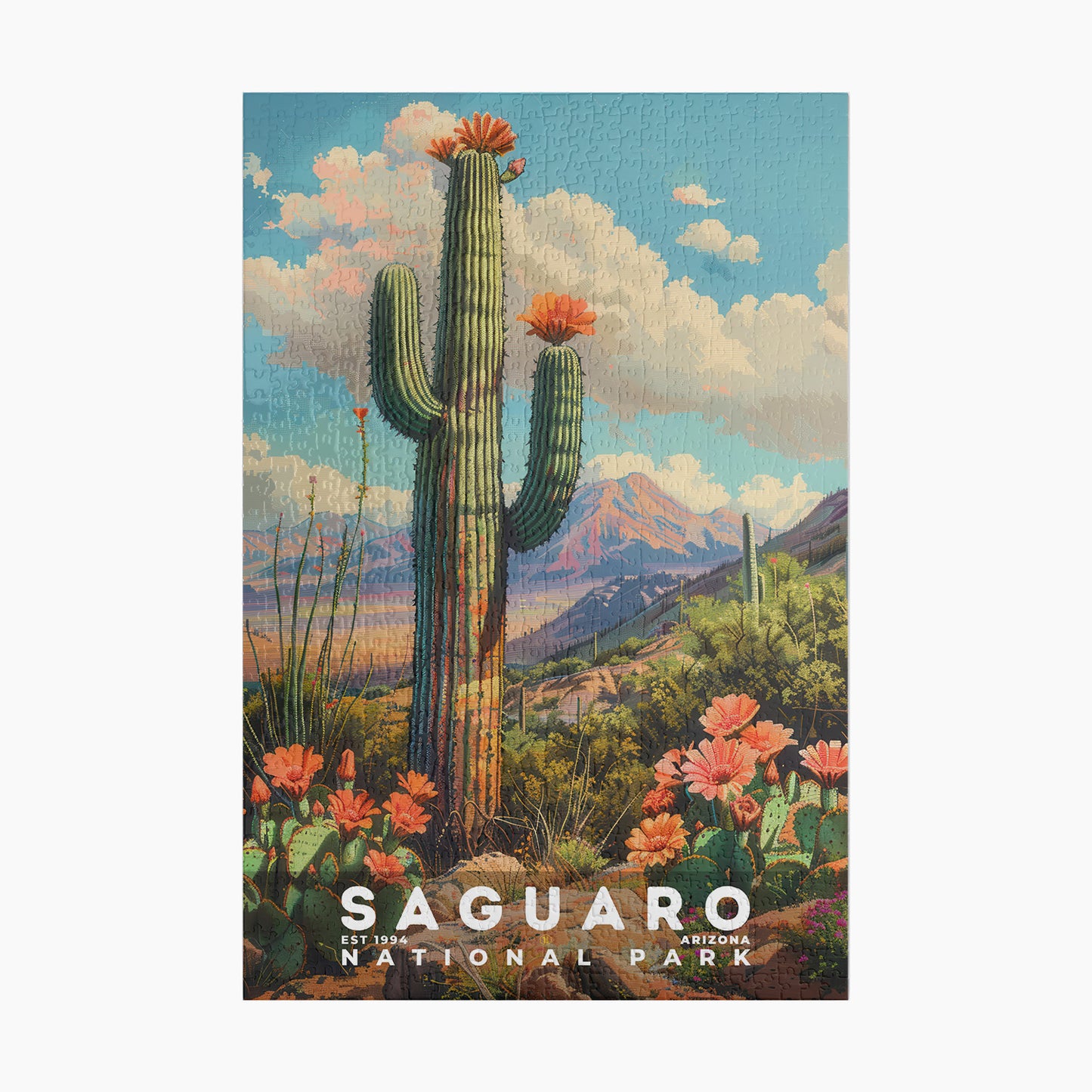 Saguaro National Park Puzzle | S18
