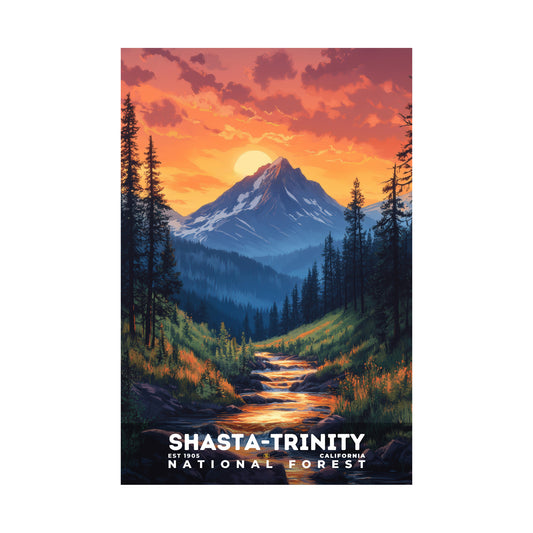 Shasta-Trinity National Forest Poster | S02