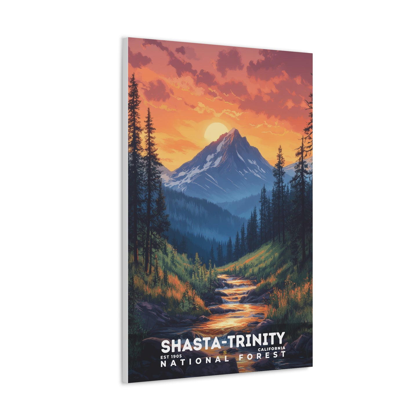 Shasta-Trinity National Forest Poster | S02