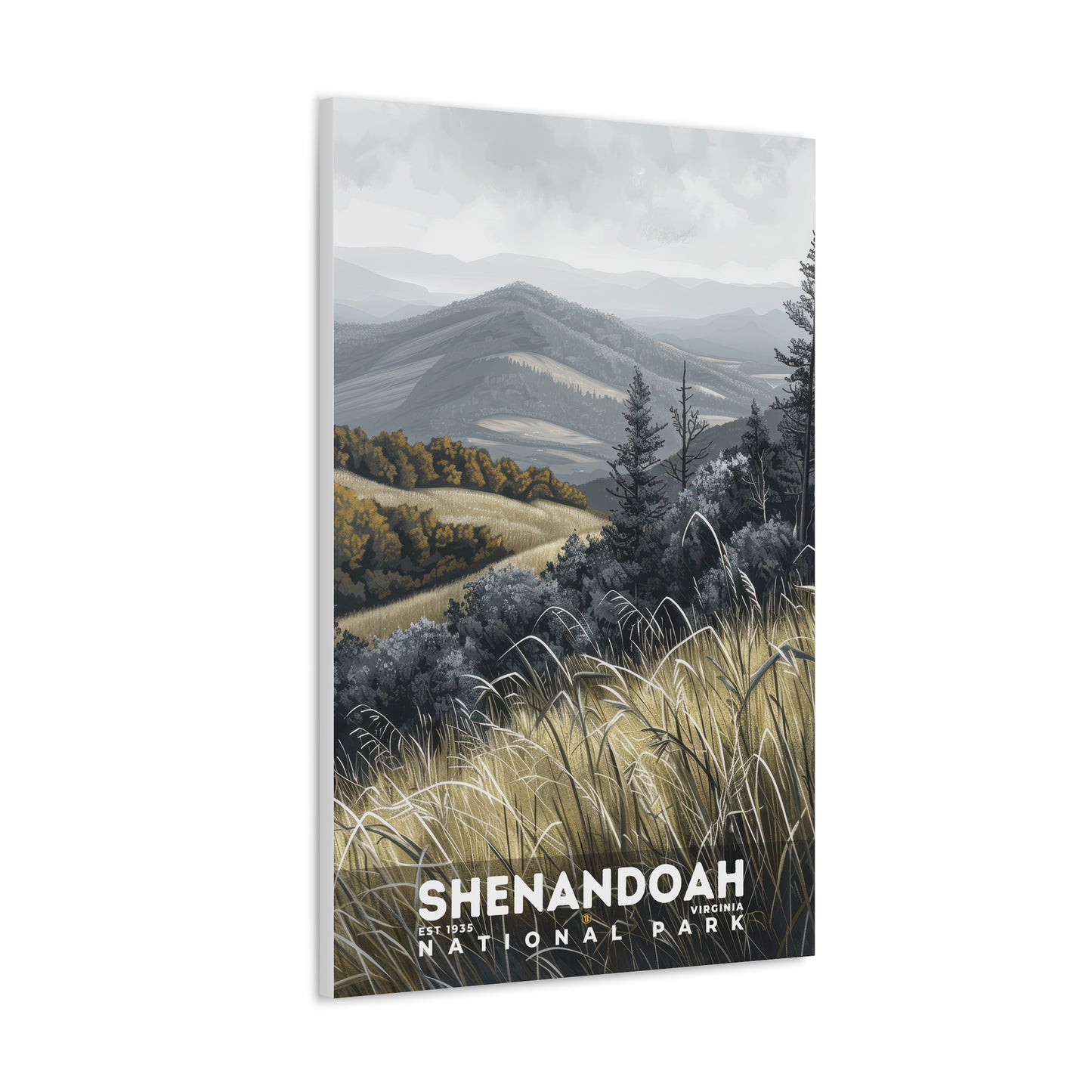 Shenandoah National Park Poster | S17