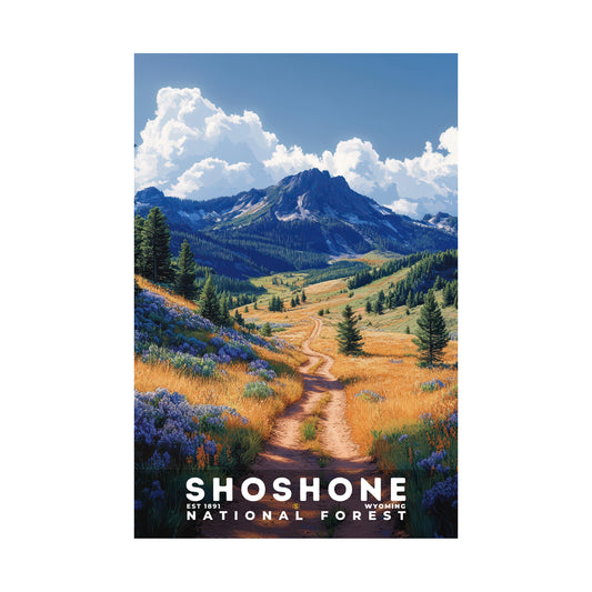Shoshone National Forest Poster | S02